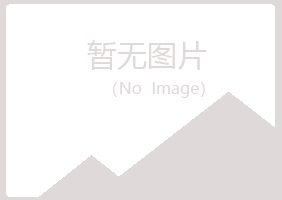 伊春代梅能源有限公司